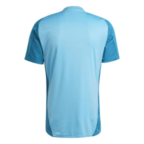 Camisa Flamengo Treino Adidas 2025/26