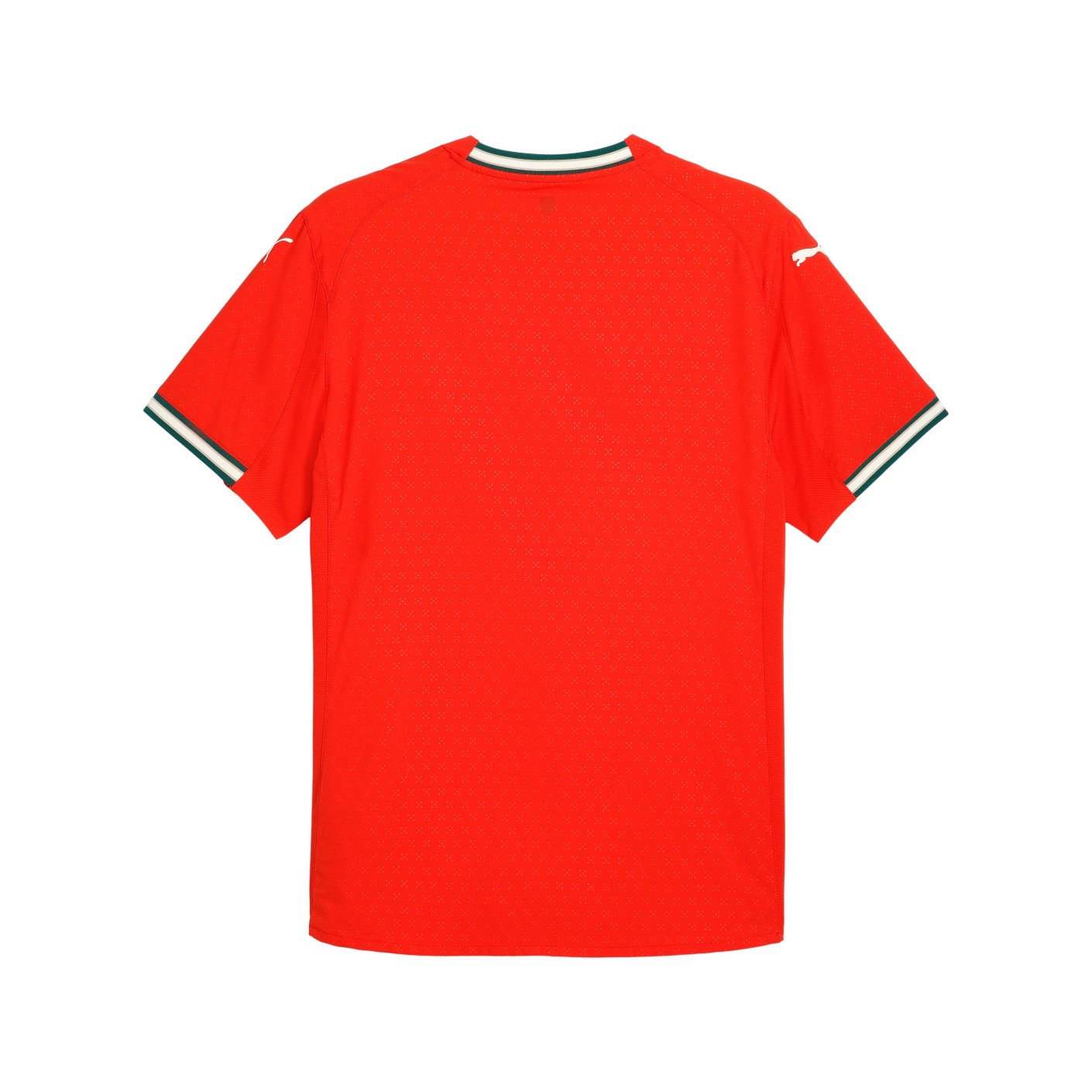 Camisa Portugal 2025/26 Home – Jogador