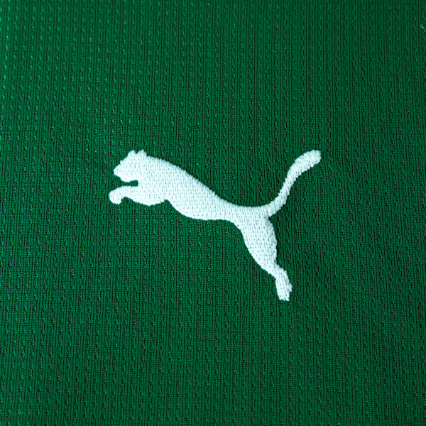 Camisas Palmeiras 2026/27 Puma - Titular