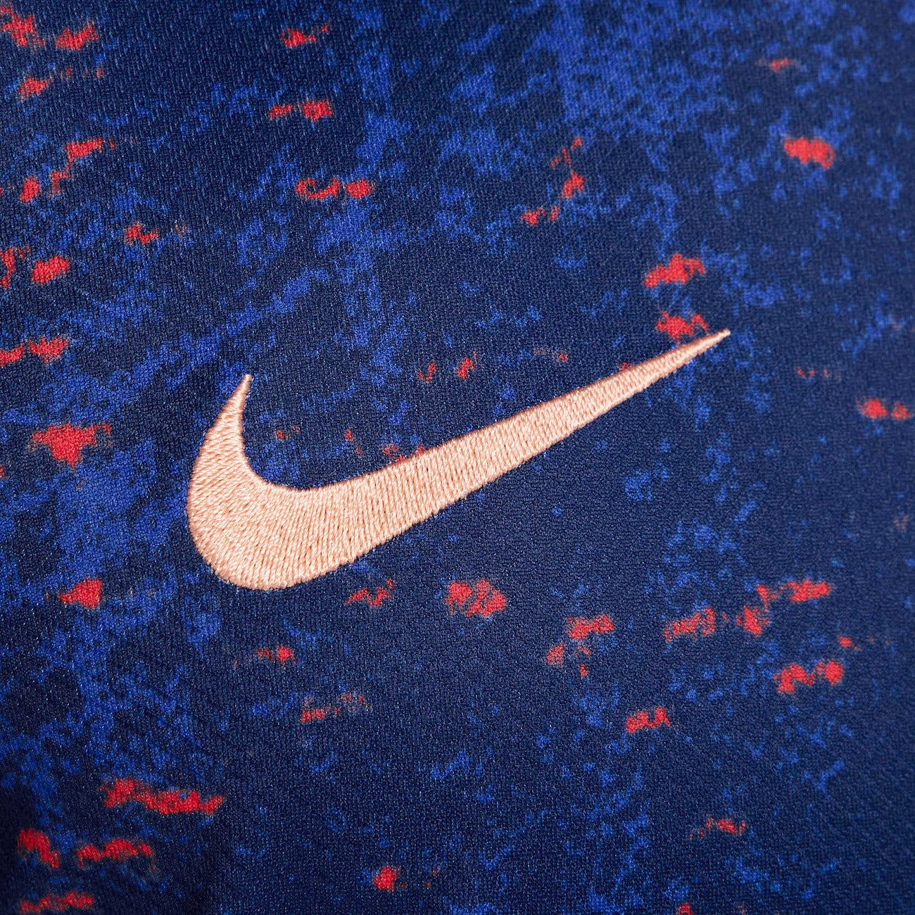 Camisa Nike França 2025 I Torcedor